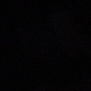 Meet your Posher, Precious